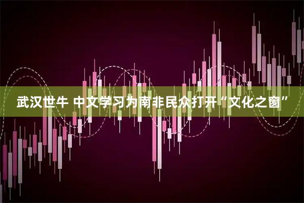 武汉世牛 中文学习为南非民众打开“文化之窗”