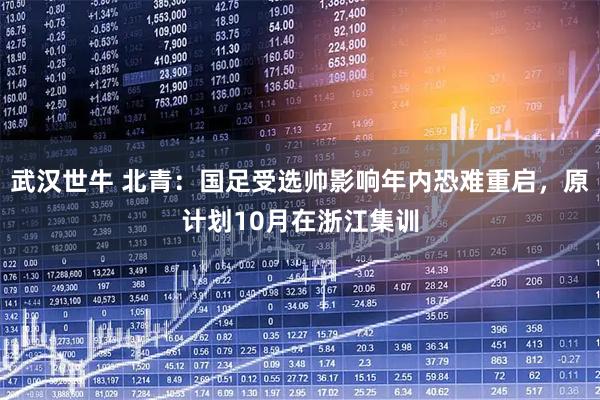 武汉世牛 北青：国足受选帅影响年内恐难重启，原计划10月在浙江集训