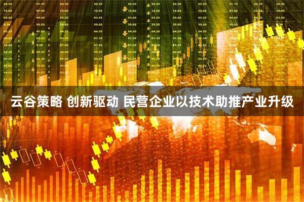 云谷策略 创新驱动 民营企业以技术助推产业升级