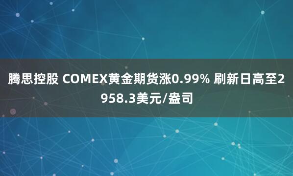 腾思控股 COMEX黄金期货涨0.99% 刷新日高至2958.3美元/盎司